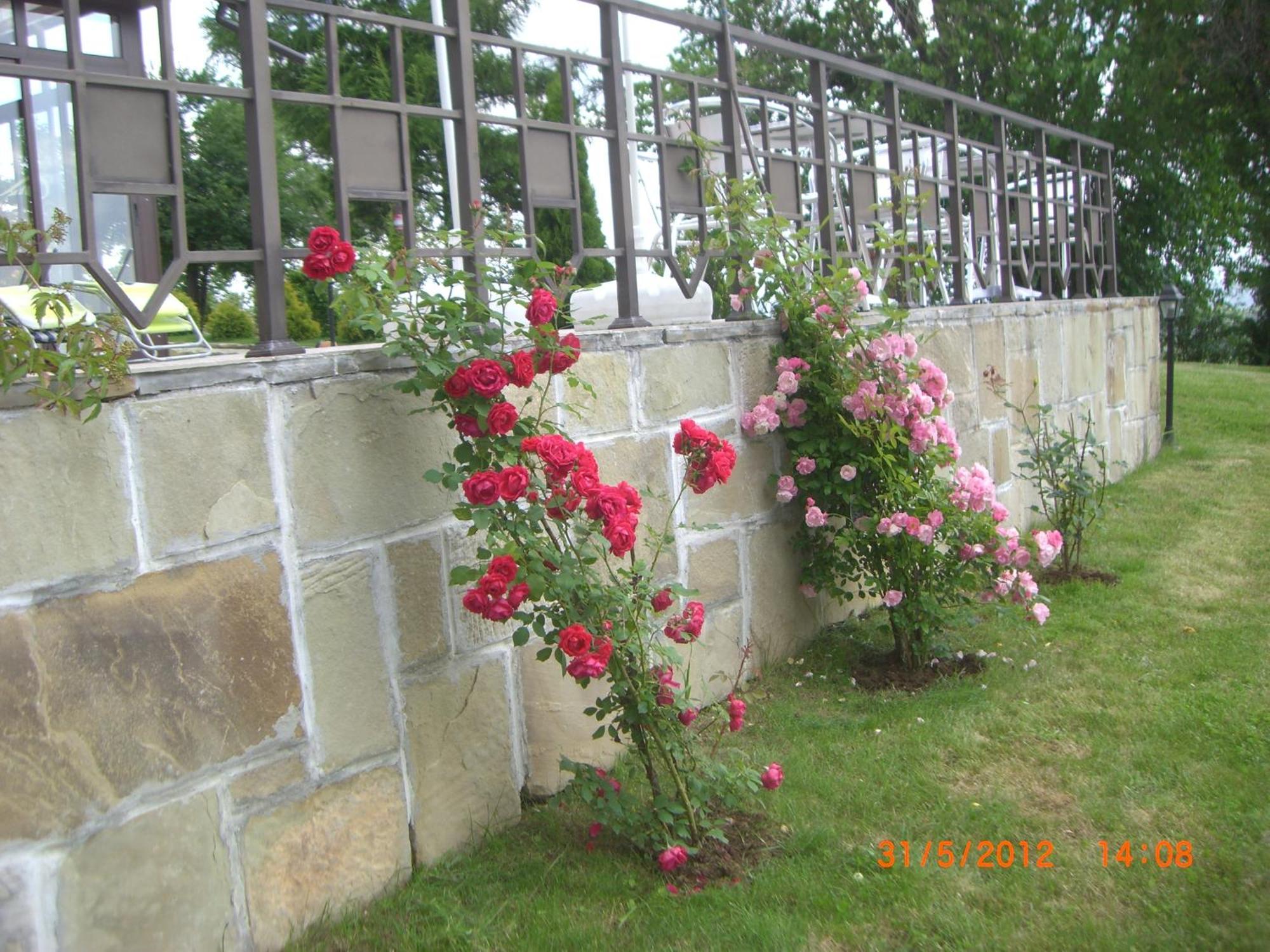 Park Hotel Arbanassi Εξωτερικό φωτογραφία